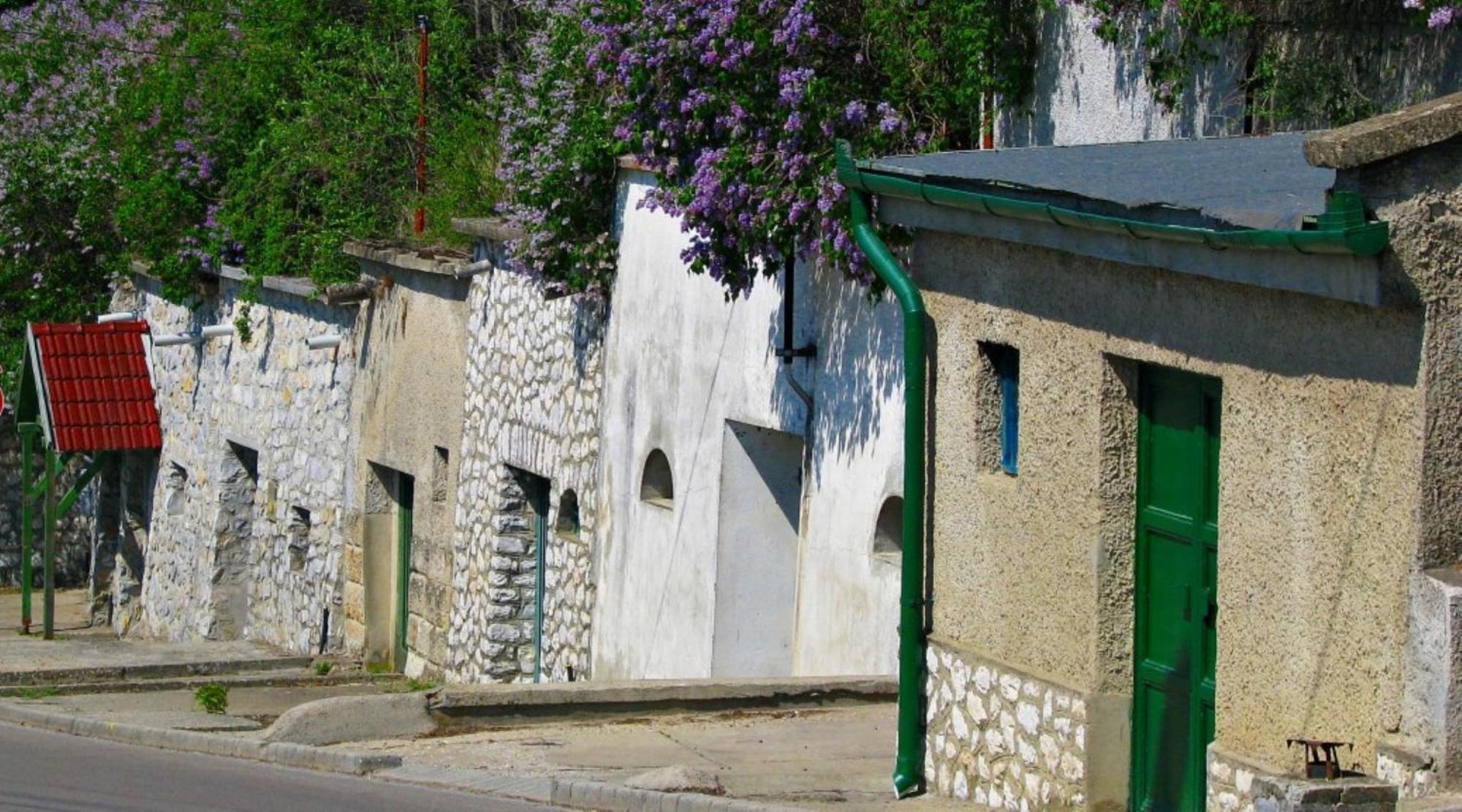 Fenyo Panzio Bed & Breakfast Mezokovesd Exterior photo
